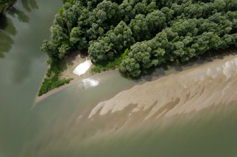 Drava_202505_(c)_Marko-Lorenzo_Blaslov (9)