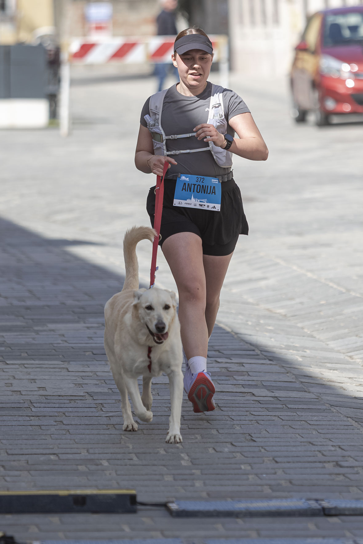 Ferivi_11_04_SiB_HR-137