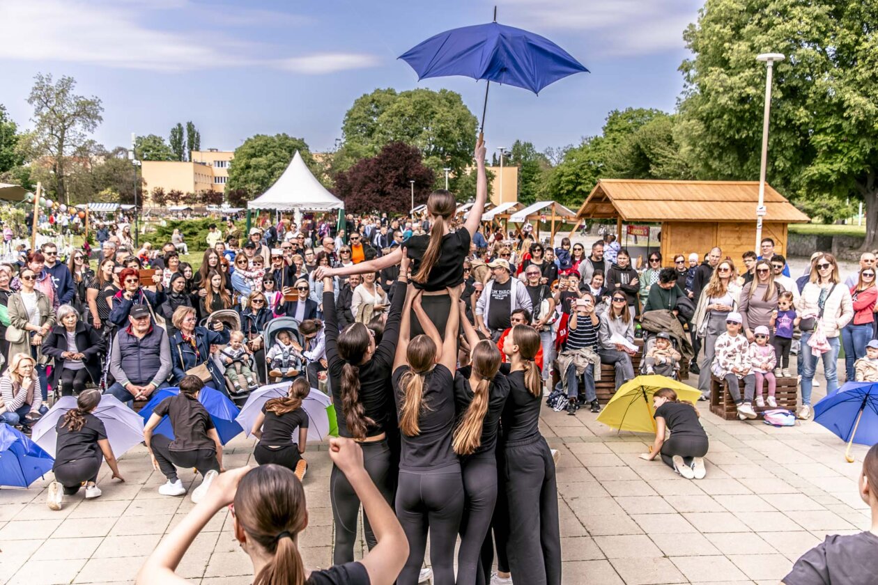 Festival_cvijeca_i_drveca_SiB_2025