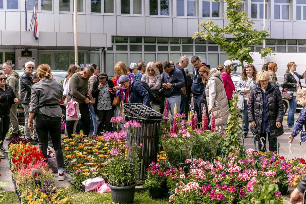 Festival_cvijeca_i_drveca_SiB_2025