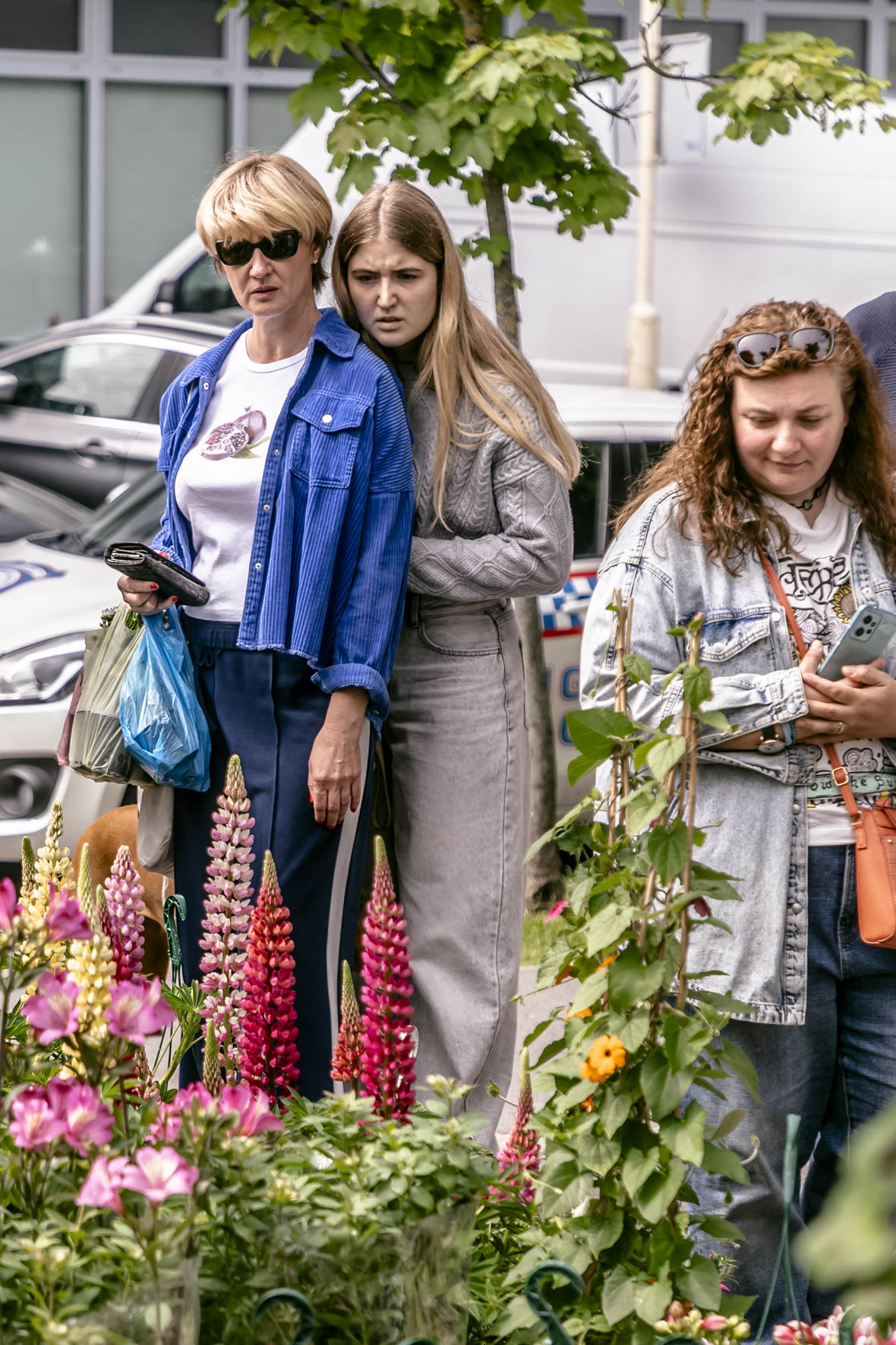 Festival_cvijeca_i_drveca_SiB_2025