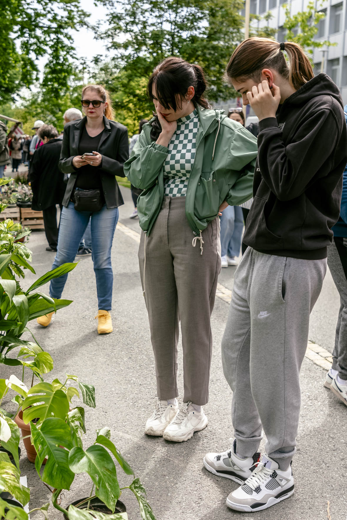 Festival_cvijeca_i_drveca_SiB_2025