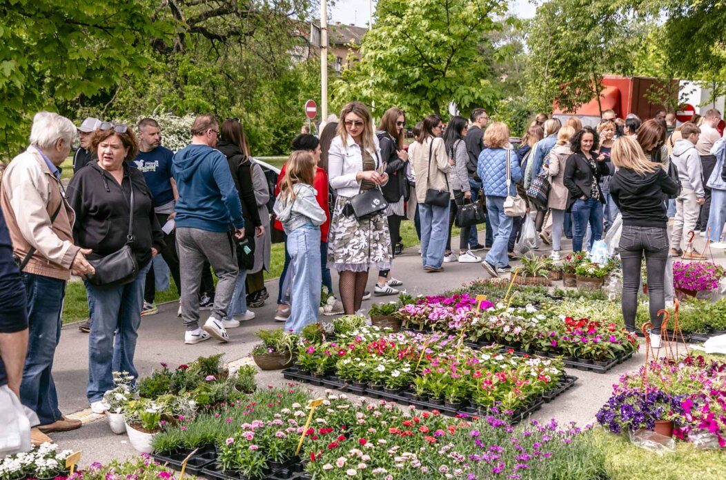 Festival_cvijeca_i_drveca_SiB_2025