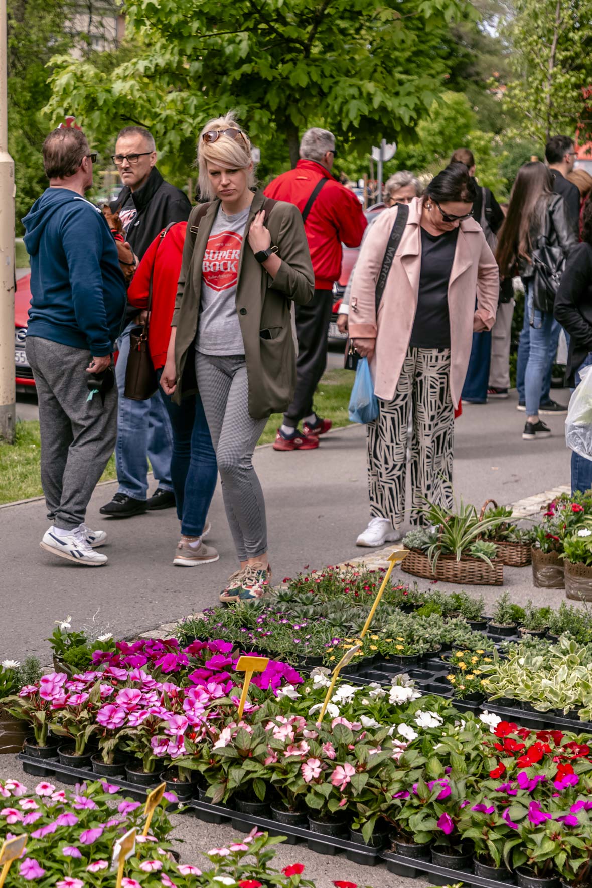 Festival_cvijeca_i_drveca_SiB_2025