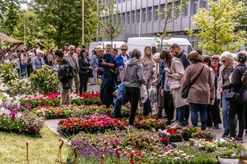 Festival_cvijeca_i_drveca_SiB_2025