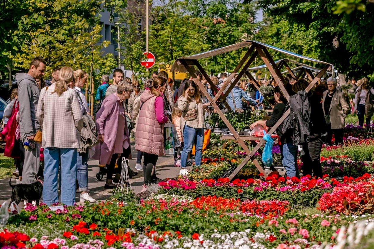 Festival_cvijeca_i_drveca_SiB_2025