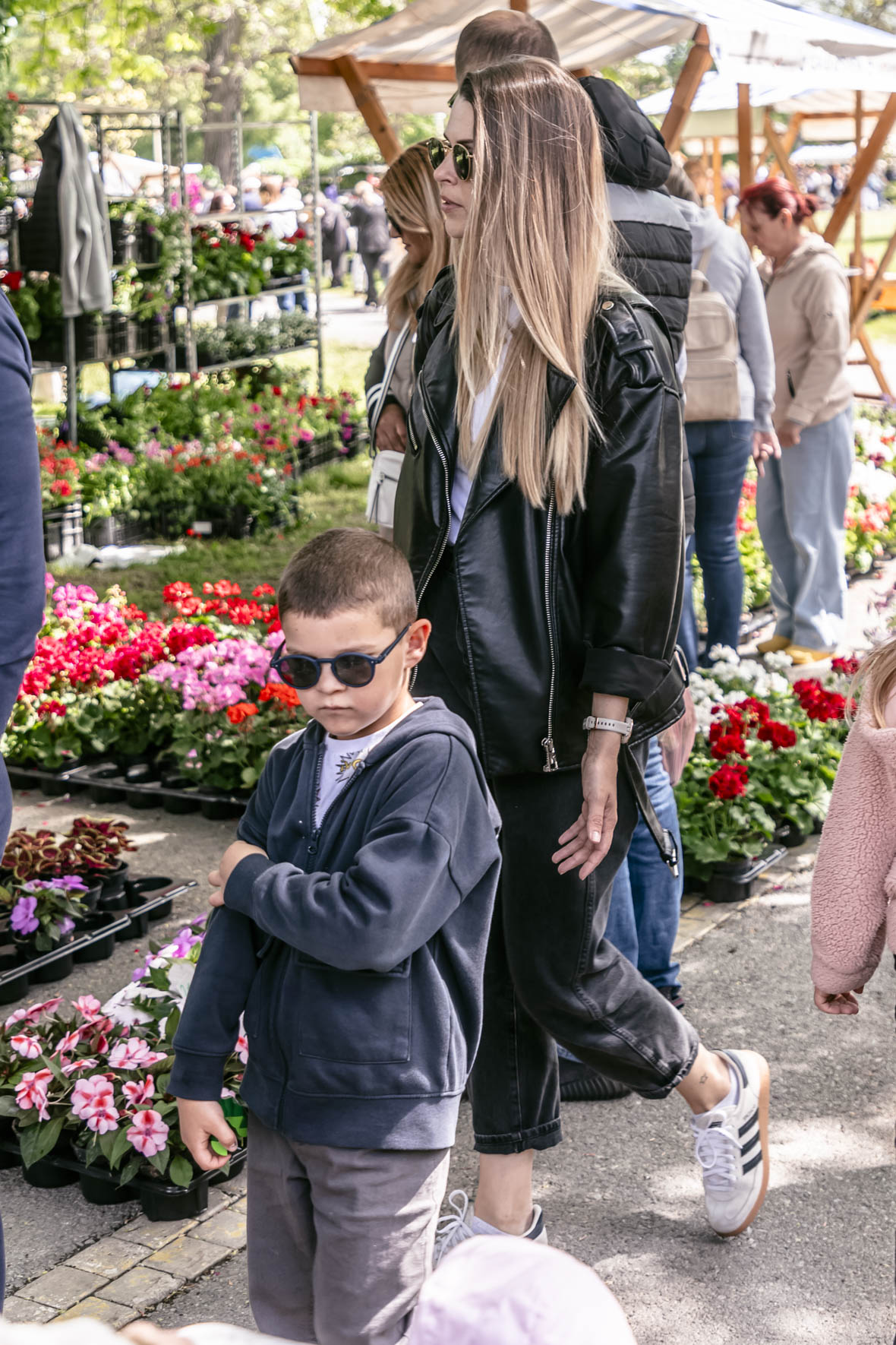 Festival_cvijeca_i_drveca_SiB_2025