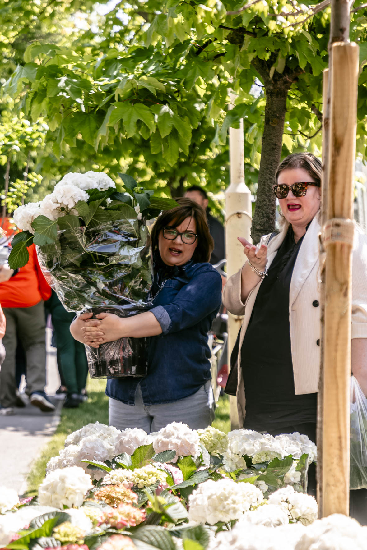 Festival_cvijeca_i_drveca_SiB_2025