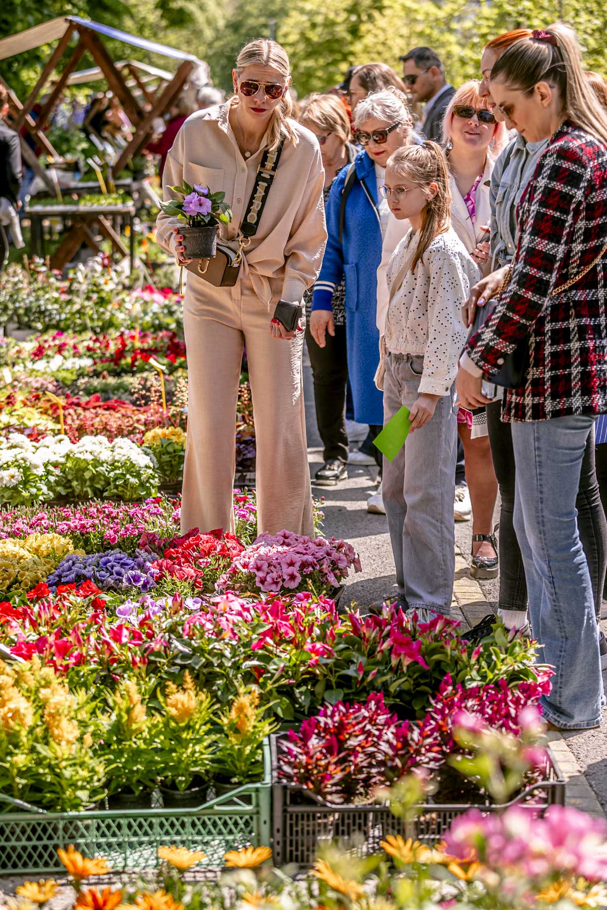 Festival_cvijeca_i_drveca_SiB_2025