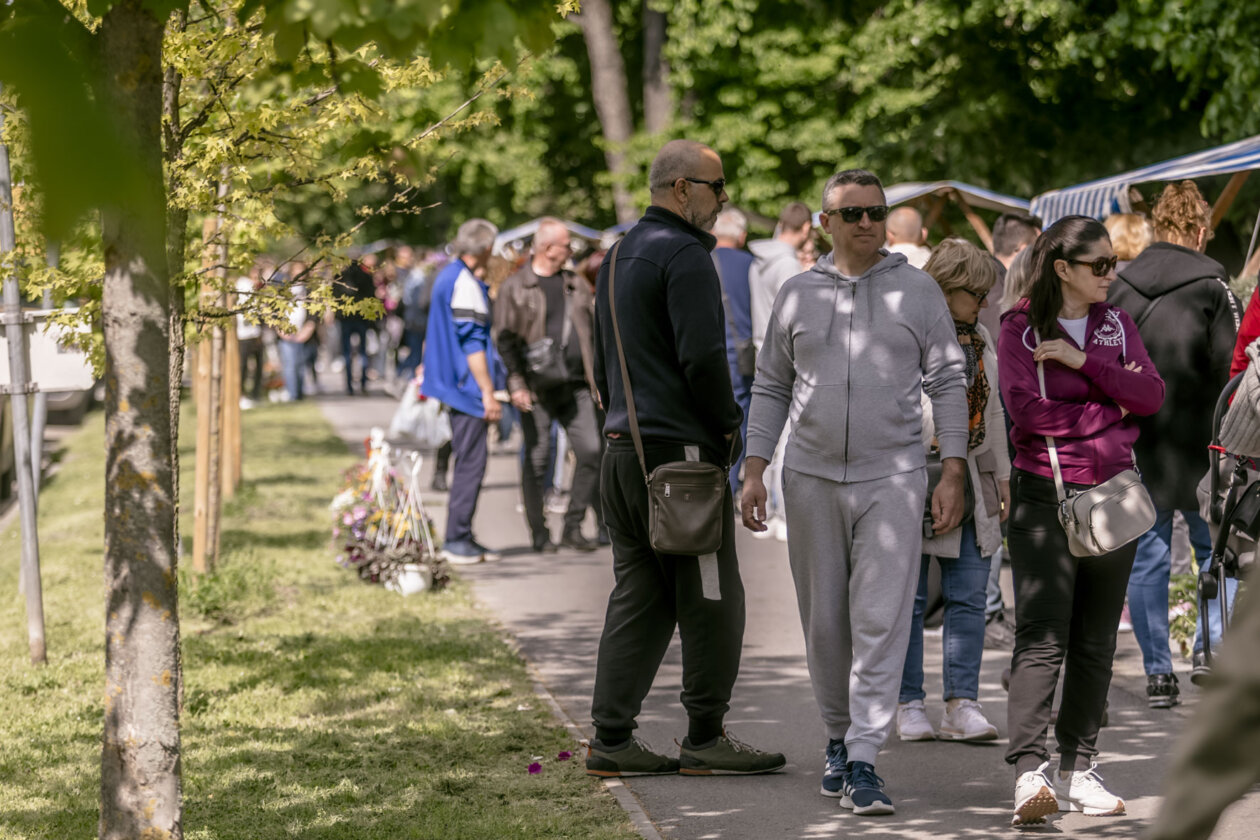 Festival_cvijeca_i_drveca_SiB_2025