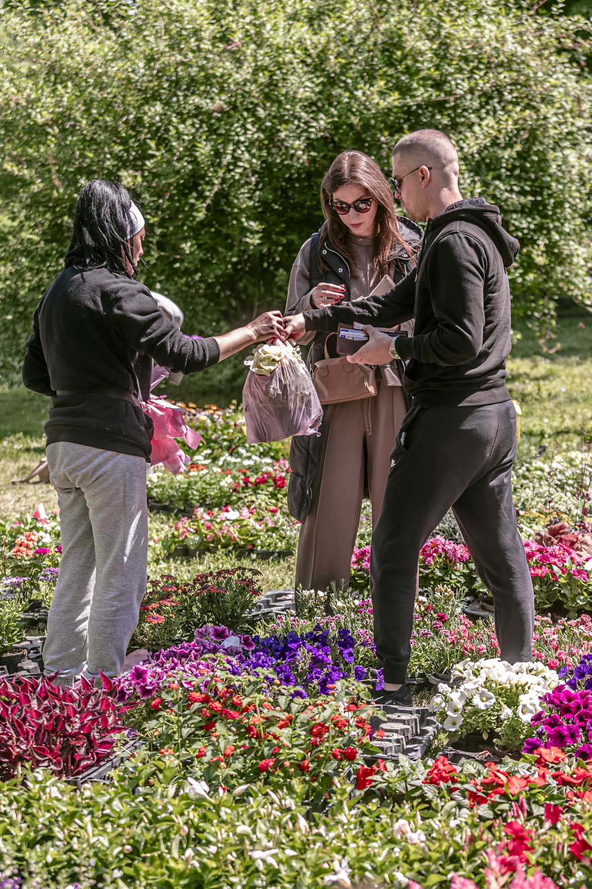 Festival_cvijeca_i_drveca_SiB_2025