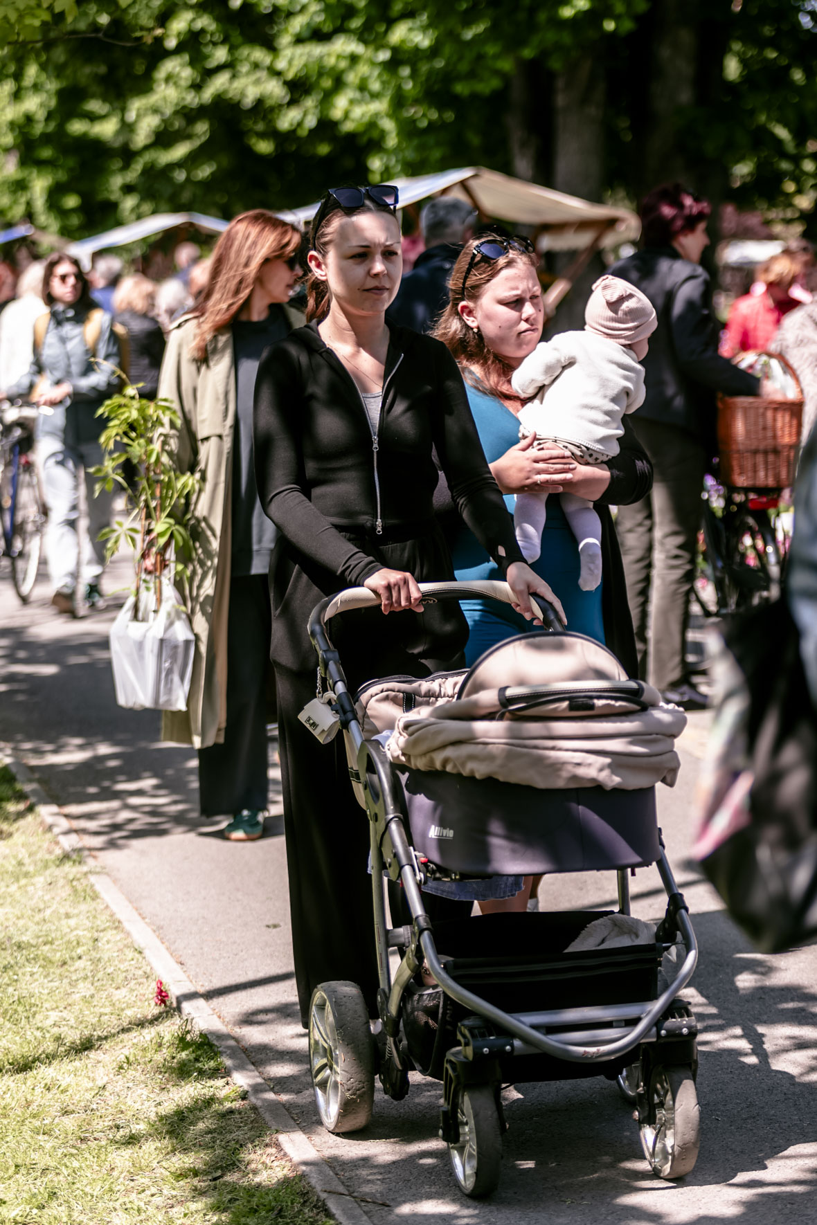 Festival_cvijeca_i_drveca_SiB_2025