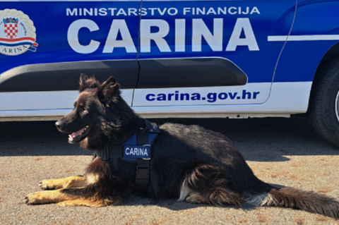 carinski pas carinski pas