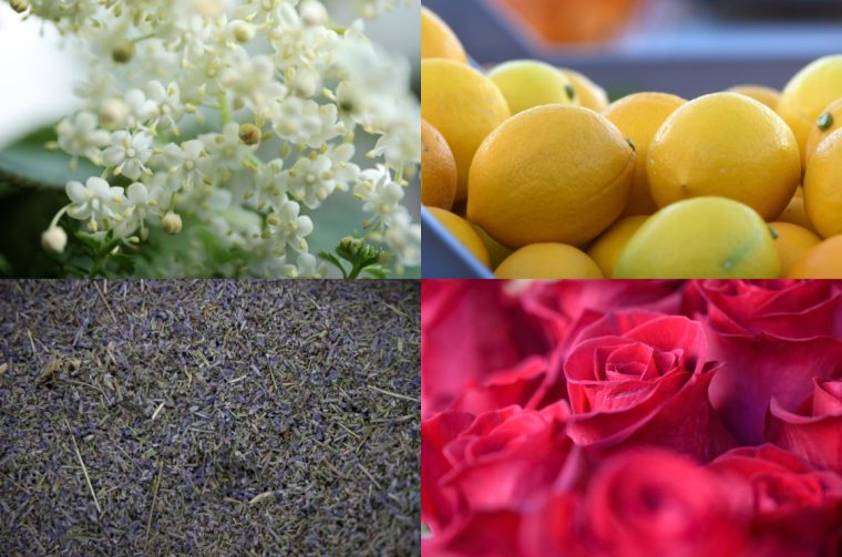 limun, lavanda, ruža i bazga limun, lavanda, ruža i bazga