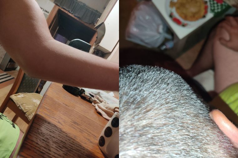 Saša Salaj Saša Salaj