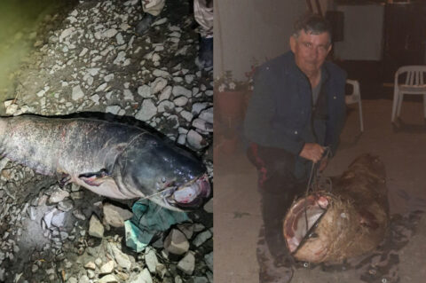 som od 103 kilograma