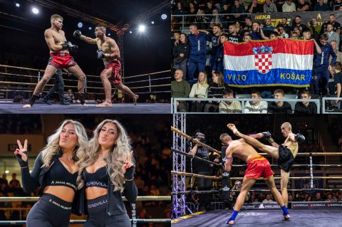 Arena Golden Fight 11