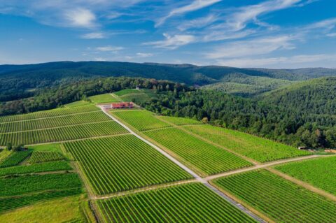 Fotografija – 1 Fotografija – 1