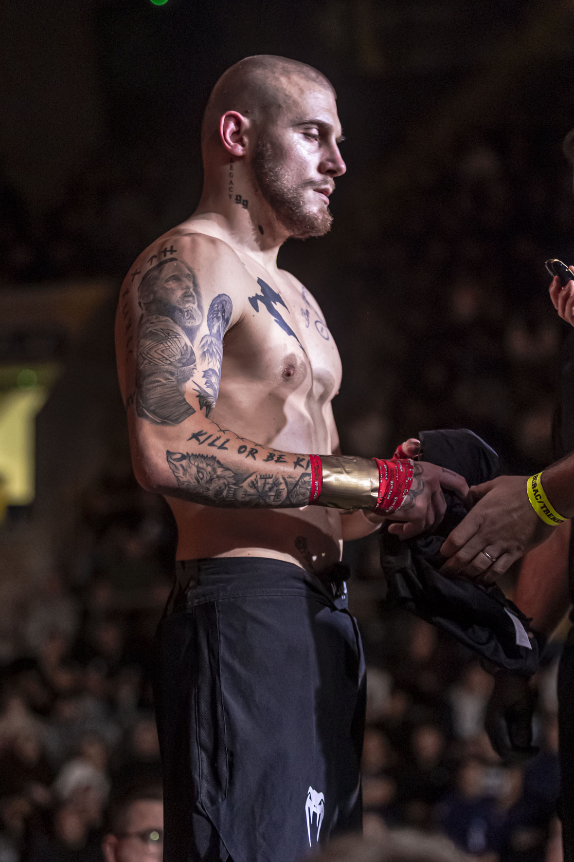 Arena Golden Fight 11