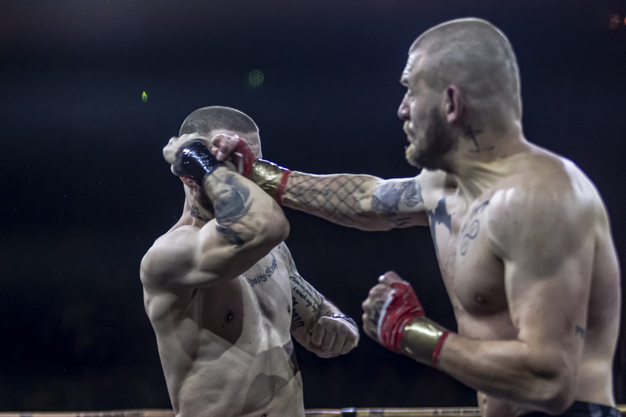 Arena Golden Fight 11