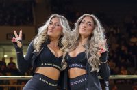 Arena Golden Fight 11