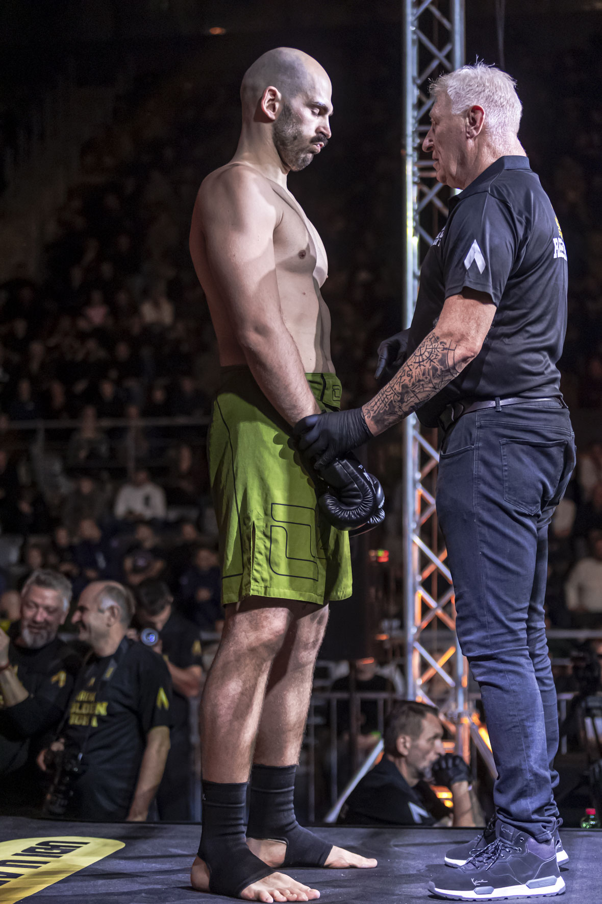 Arena Golden Fight 11