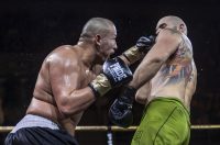 Arena Golden Fight 11