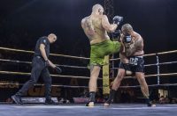 Arena Golden Fight 11
