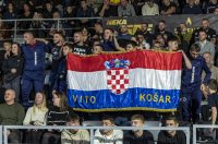 Arena Golden Fight 11