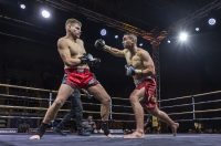 Arena Golden Fight 11