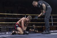 Arena Golden Fight 11