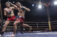 Arena Golden Fight 11