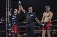 Arena Golden Fight 11