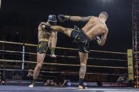 Arena Golden Fight 11