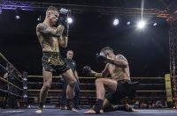 Arena Golden Fight 11