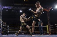 Arena Golden Fight 11