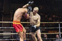 Arena Golden Fight 11
