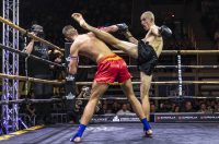 Arena Golden Fight 11