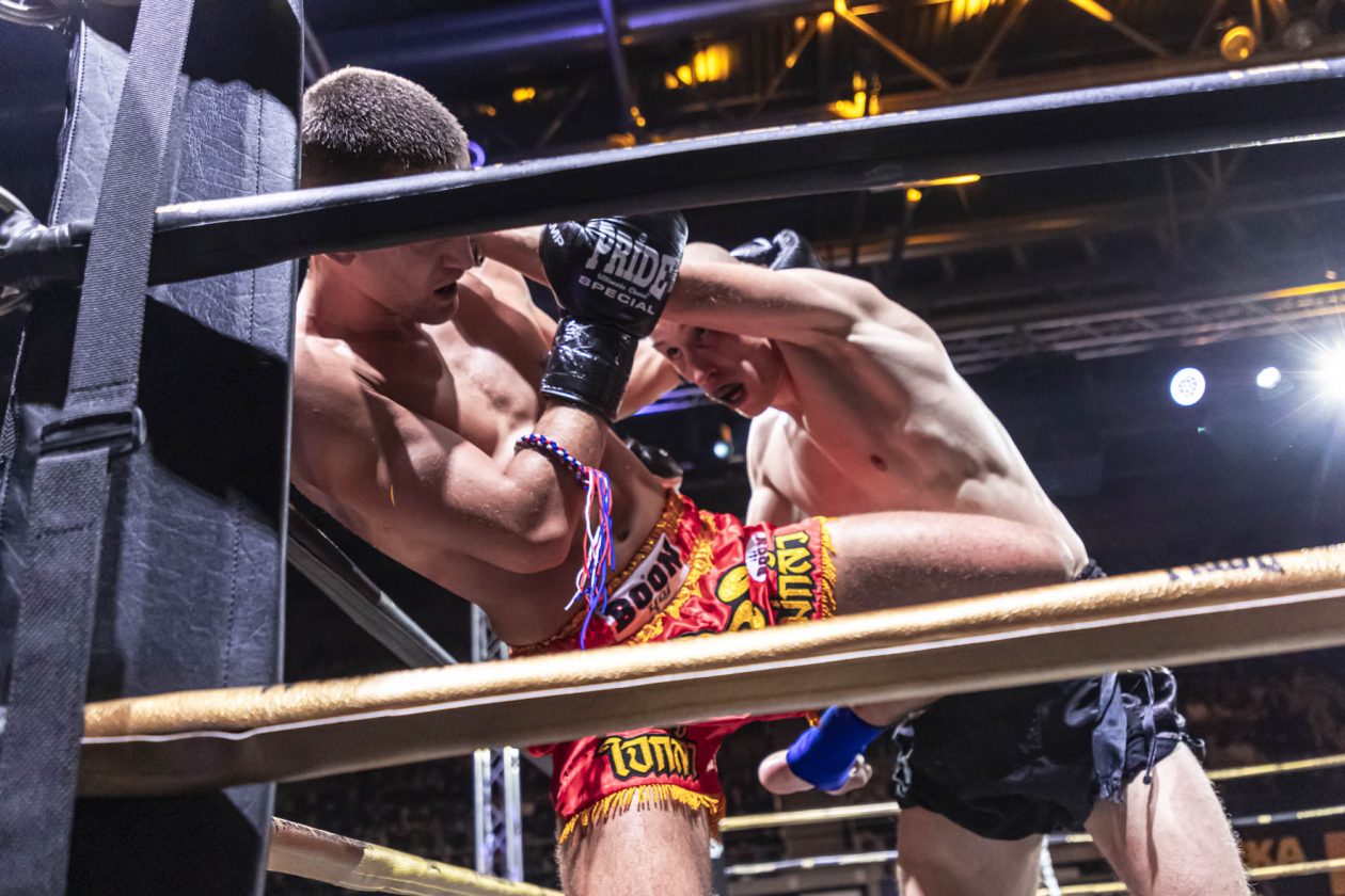 Arena Golden Fight 11