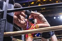 Arena Golden Fight 11