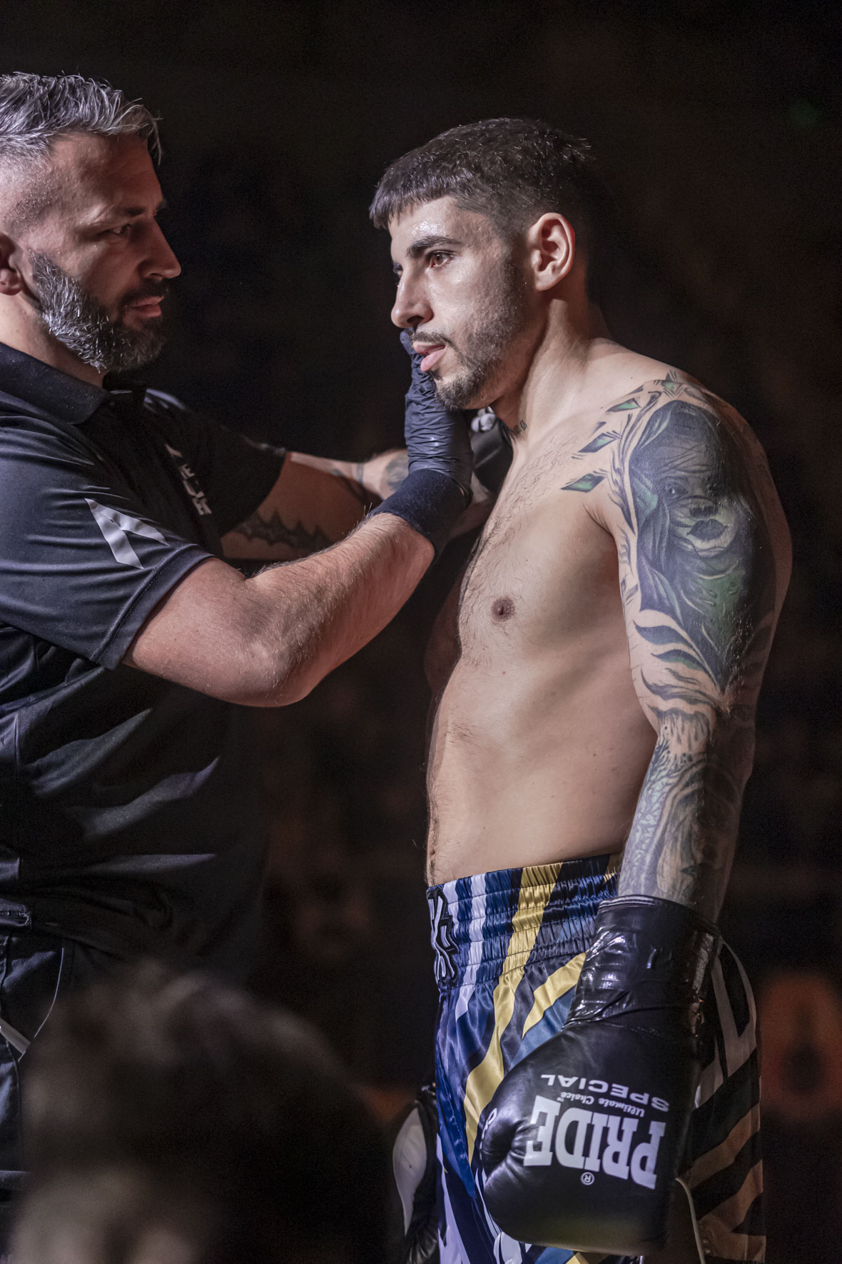 Arena Golden Fight 11