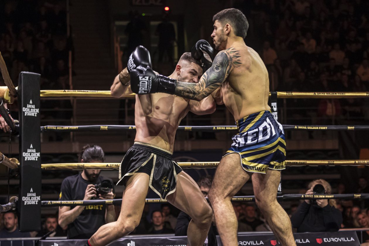 Arena Golden Fight 11