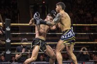 Arena Golden Fight 11