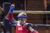 Arena Golden Fight 11