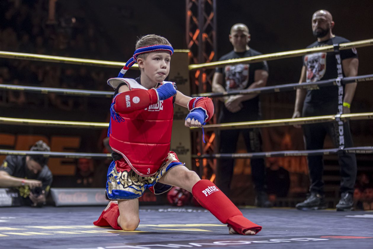 Arena Golden Fight 11