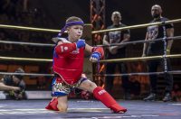 Arena Golden Fight 11