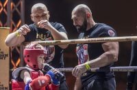 Arena Golden Fight 11