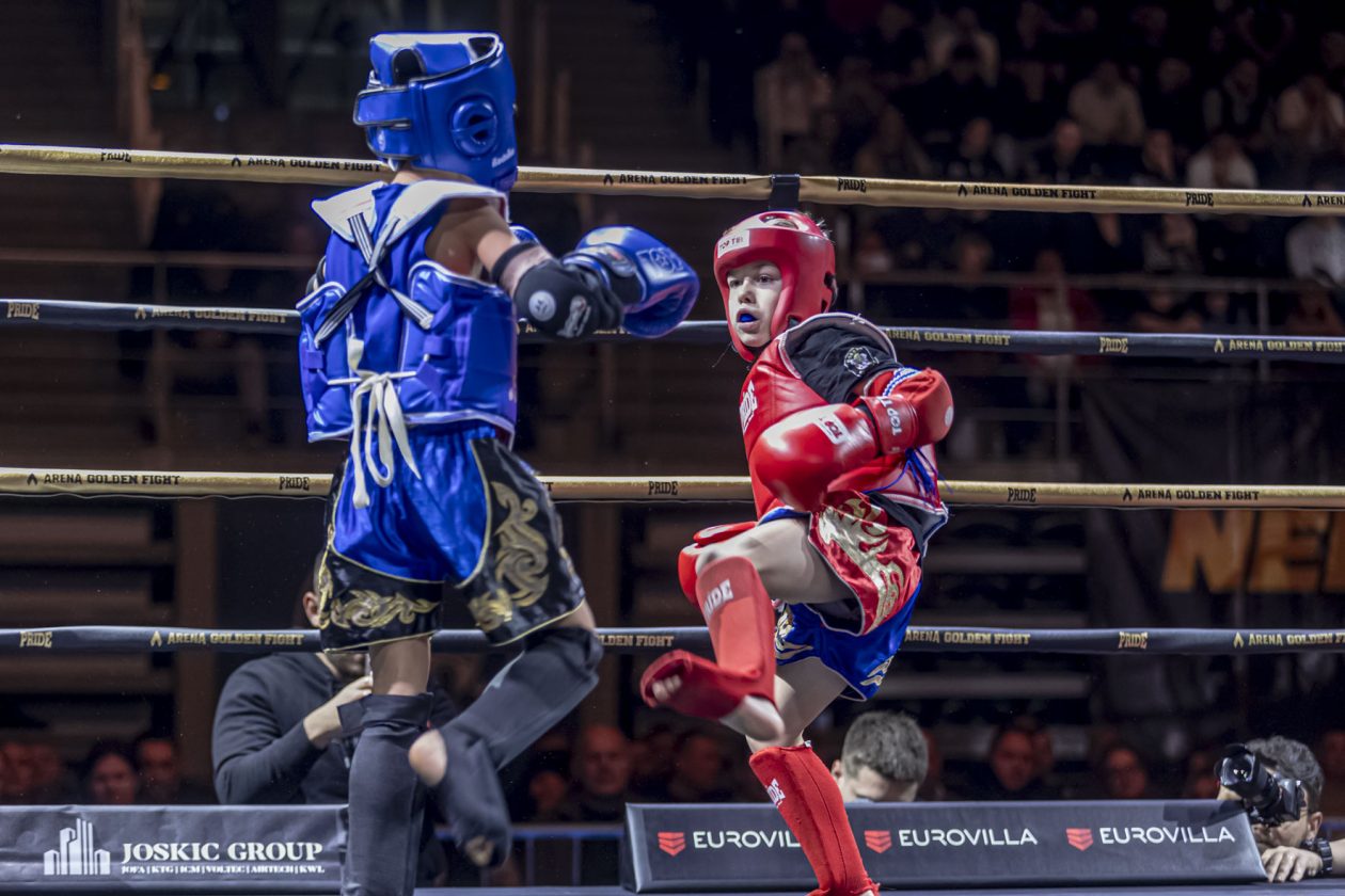 Arena Golden Fight 11