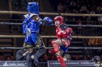 Arena Golden Fight 11