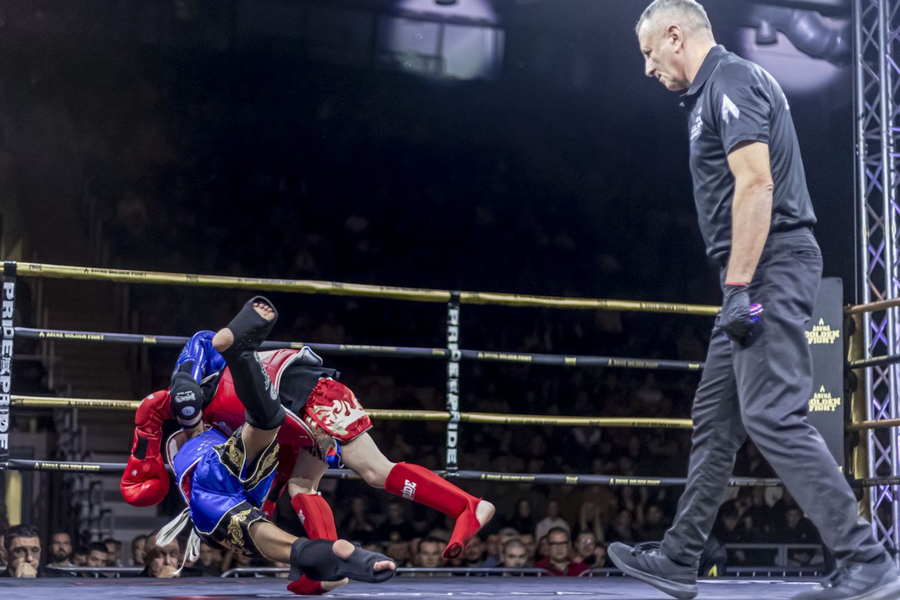 Arena Golden Fight 11